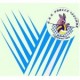 Gso Frecce Azzurre Codogno