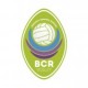 Bcr Ceranova