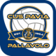 Cus Pavia